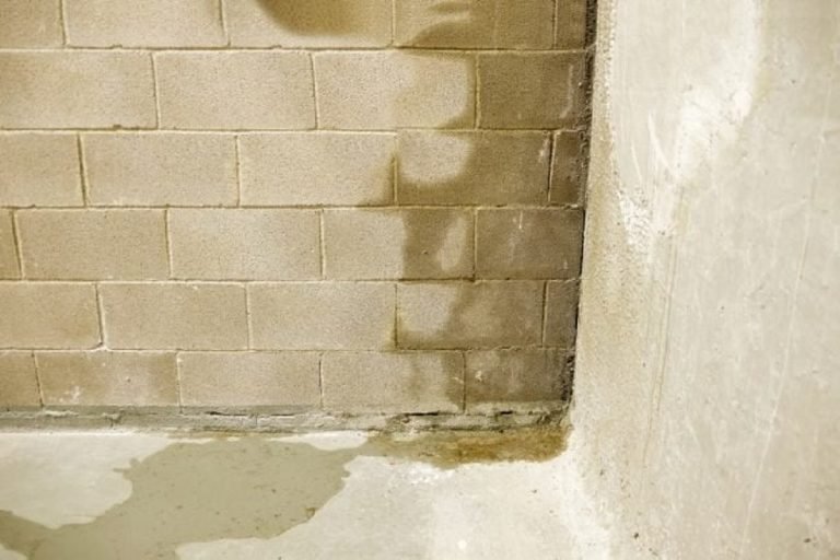 What Makes a Basement Smell Musty?