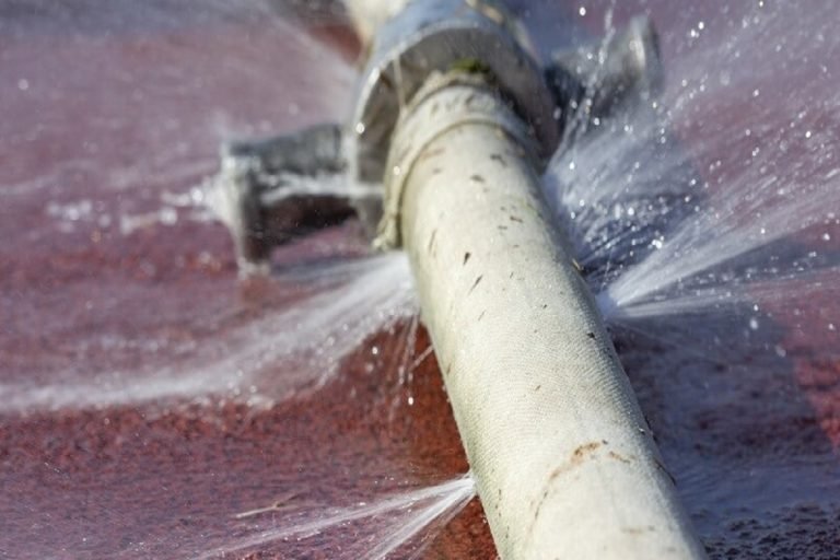 4 Sewer Line Damage Signs