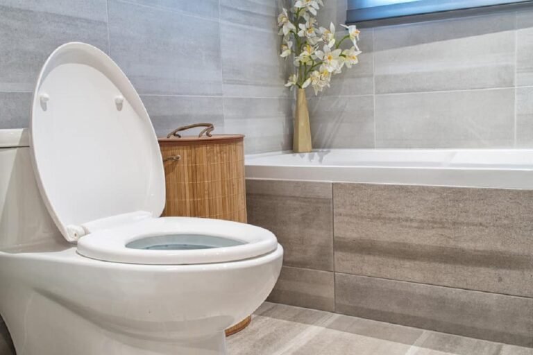 How to Select the Best Toilet Replacement for Your Ottawa Home