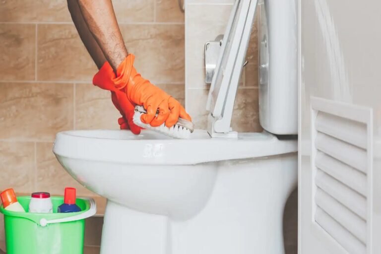 Why Does My Toilet Continue to Stink Even After I’ve Cleaned It?