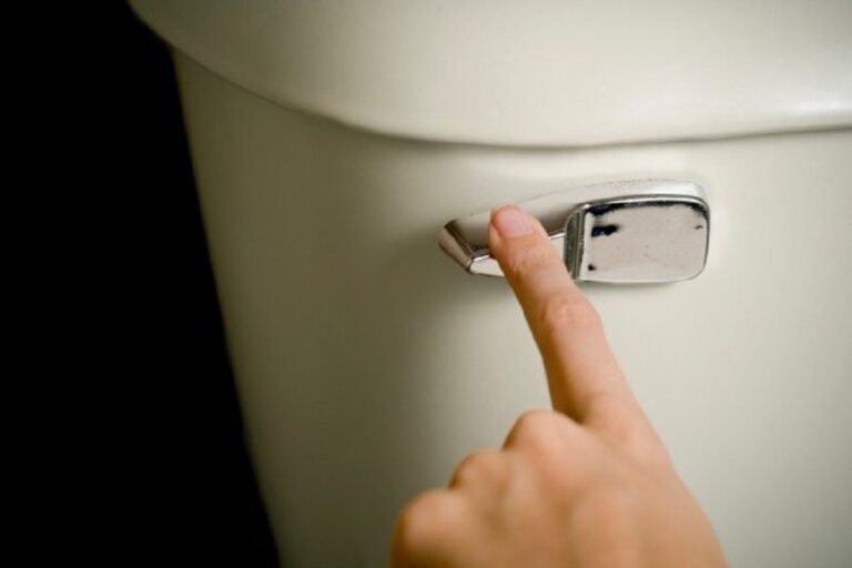 How to Replace a Broken Toilet Handle