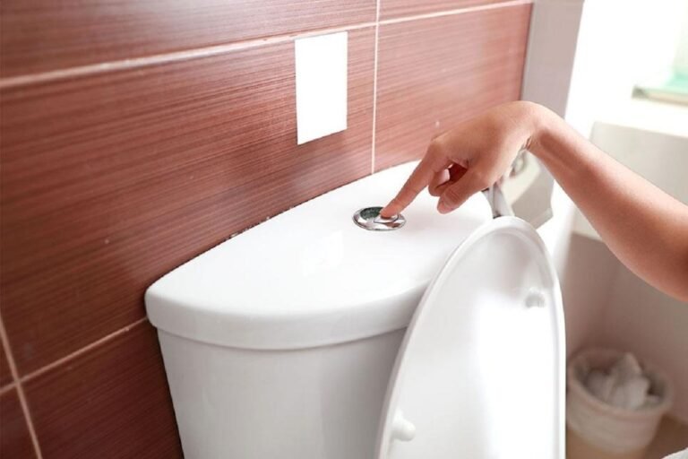 6 Reasons You’re Not Able to Flush Your Toilet