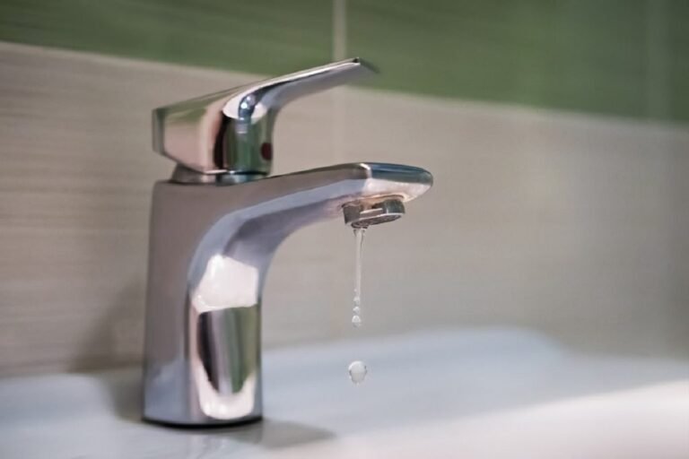 The Five Reasons Why a Faucet Leaks