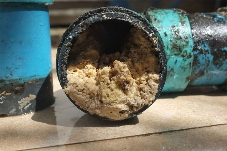 Typical Reasons For Blocked Drains