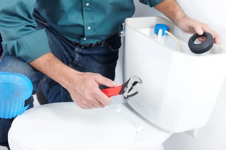 What Is the Best Time to Replace Your Toilet?