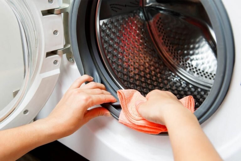 Does Your Washing Machine Have Mold?
