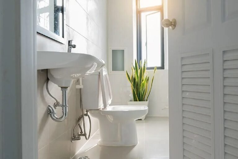 How to Select the Best Toilet Replacement