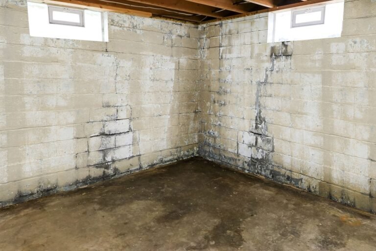 Protect Your Property with Ottawa Plumbing’s Basement Waterproofing Solutions