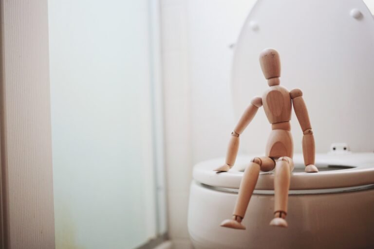 Toilet Repair Services in Ottawa: Quick and Reliable Solutions