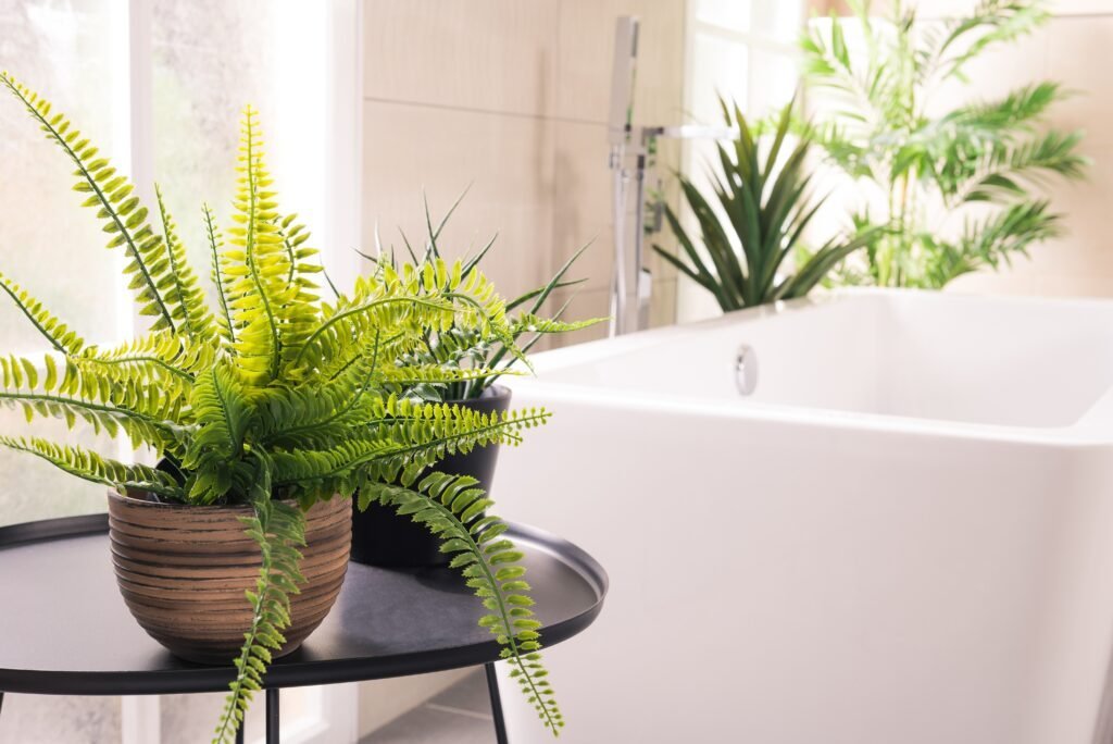 Potted ferns on a side table beside a white freestanding bathtub
