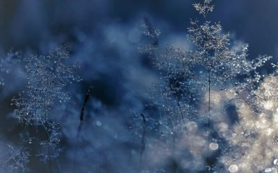 Winter Plumbing Problems