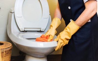 Should Your Toilet Be Repaired or Replaced?