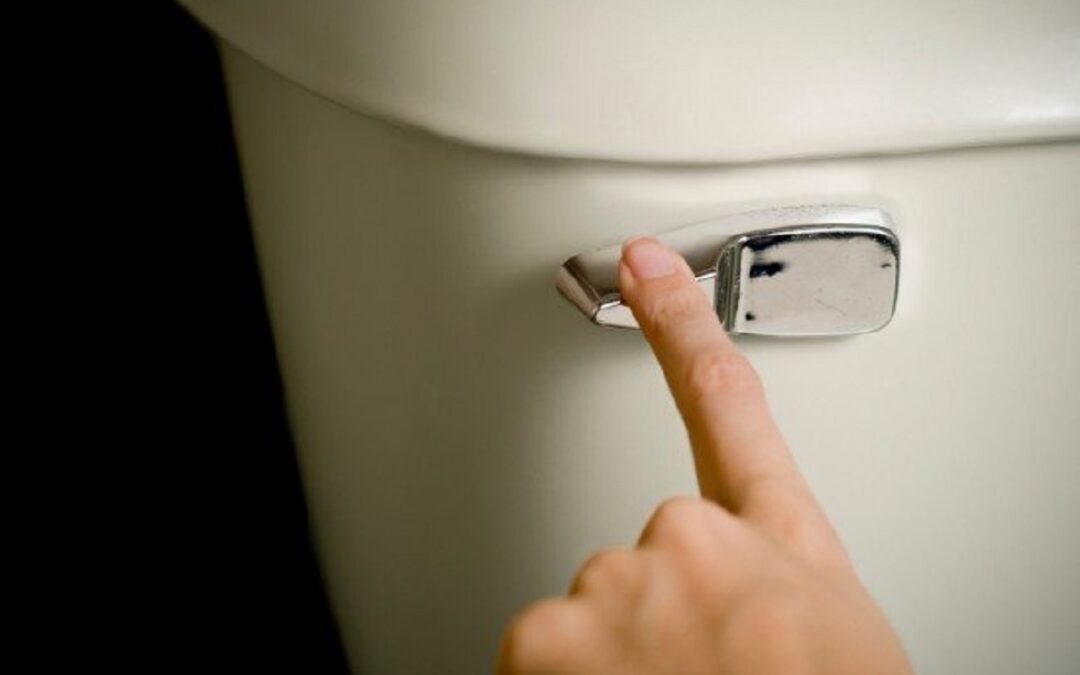 How to Replace a Broken Toilet Handle