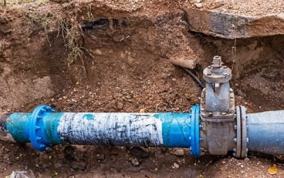 5 Signs Your Sewer Line Needs to Get Inspected