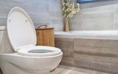 How to Select the Best Toilet Replacement for Your Ottawa Home