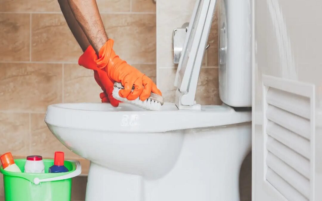 Why Does My Toilet Continue to Stink Even After I’ve Cleaned It?