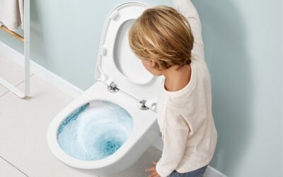 How Do You Fix a Flushing Toilet?