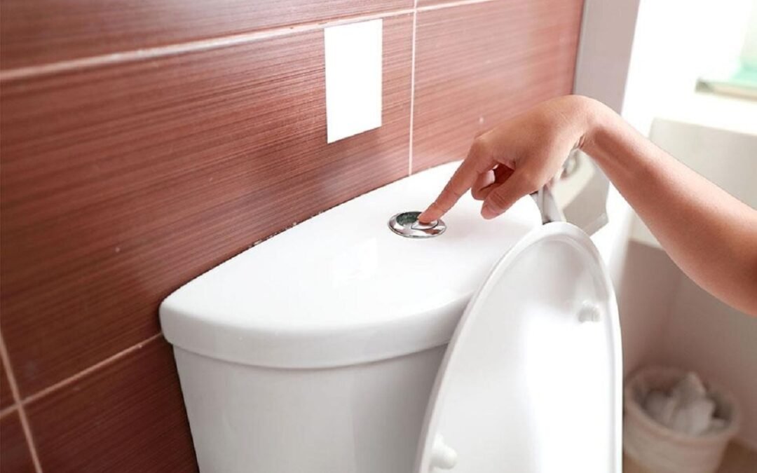 6 Reasons You’re Not Able to Flush Your Toilet
