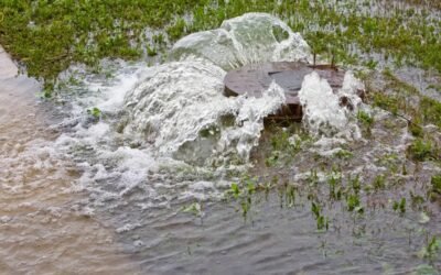 Why Do Sewer Backups Occur?