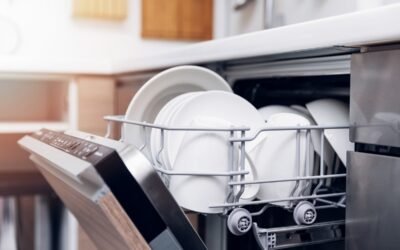 Is the Dishwasher Not Draining Completely?