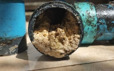 Typical Reasons For Blocked Drains