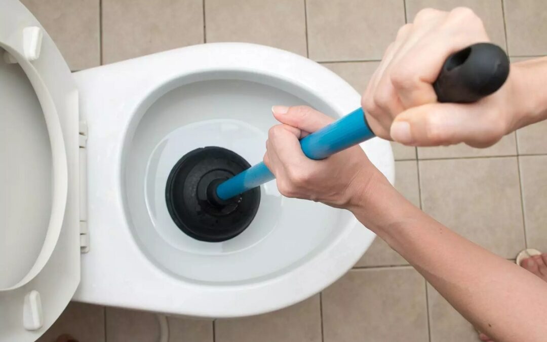 5 Methods for Clearing a Blocked Toilet Drain