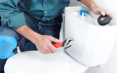 What Is the Best Time to Replace Your Toilet?