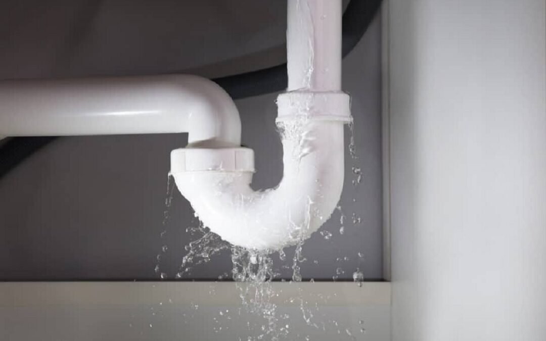 Why Does Sewage Backup Occur and How Can It Be Prevented?