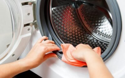 Does Your Washing Machine Have Mold?