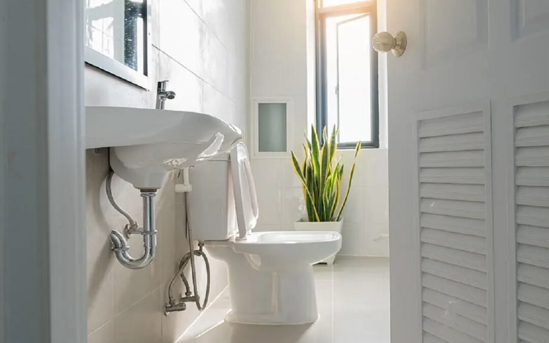 How to Select the Best Toilet Replacement