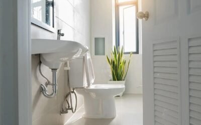 How to Select the Best Toilet Replacement
