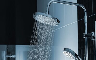 5 Causes for the Squealing Noise in Your Shower