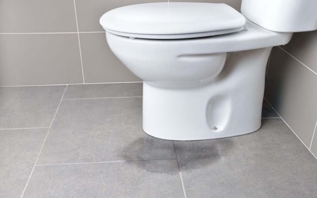 Simple Solutions for Base-Leaking Toilets