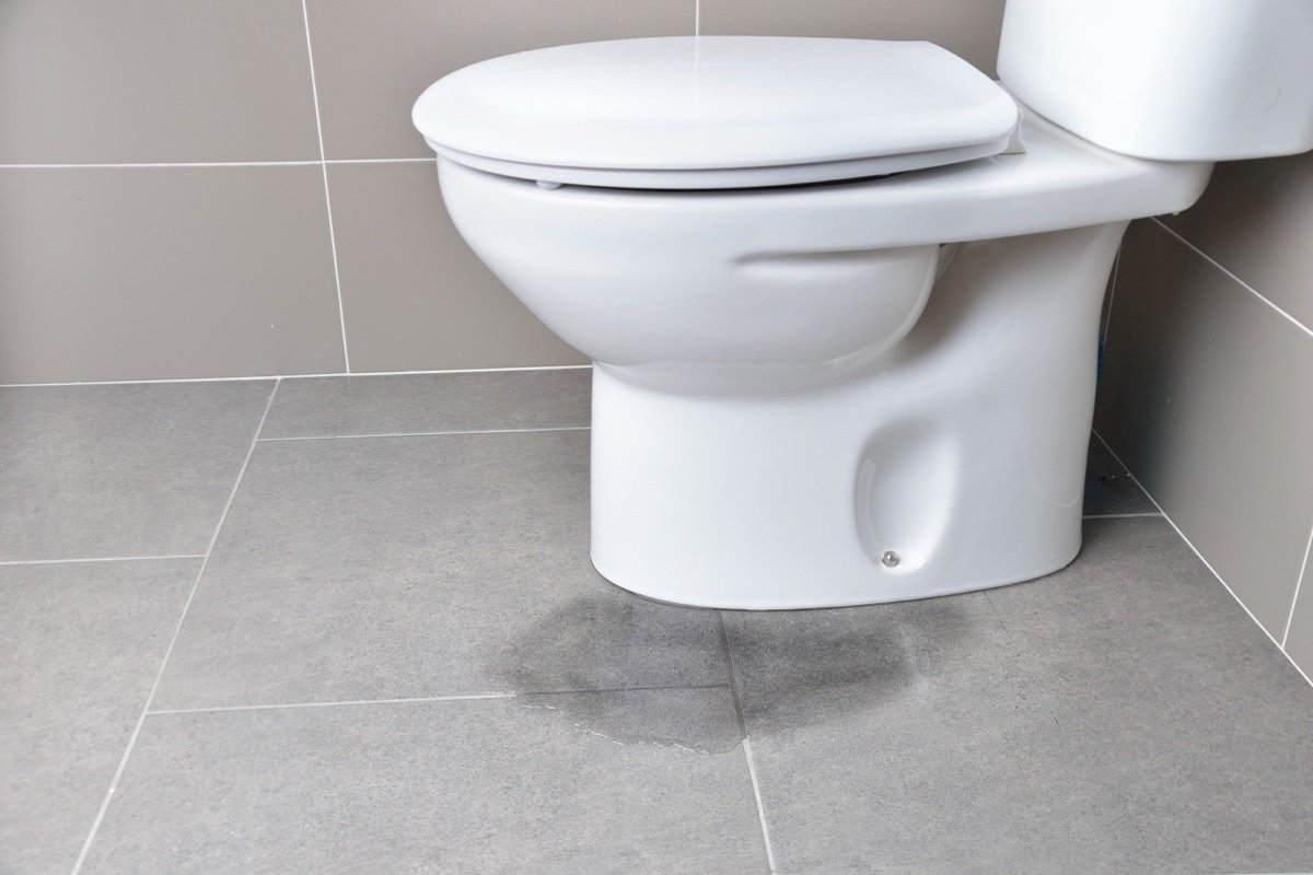 Simple Solutions for BaseLeaking Toilets Ottawa Plumbing Service