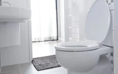 How Long Do Toilets Last?