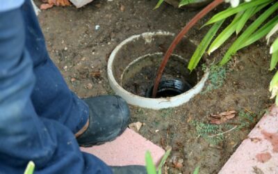 Top 5 Reasons for Sewer Line Clogs